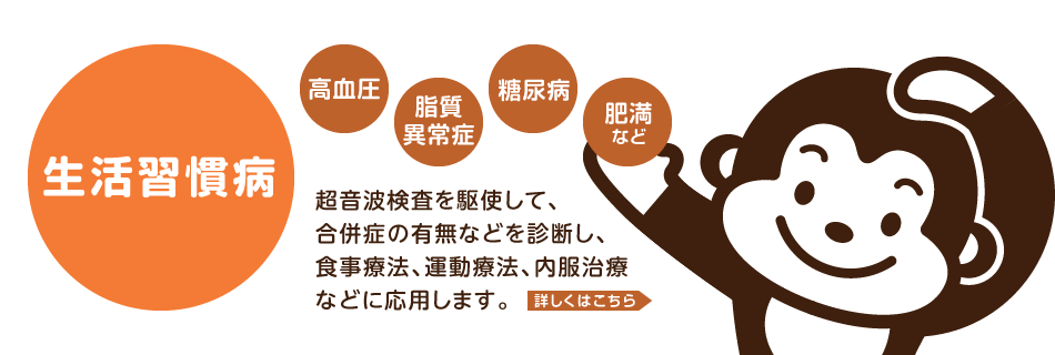 高血圧、脂質異常症、糖尿病、肥満などの生活習慣病。超音波検査を駆使して、合併症の有無などを診断し、食事療法、運動療法、内服治療などに応用します。